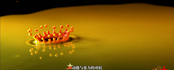 1774421846426115.png 图片 11.png